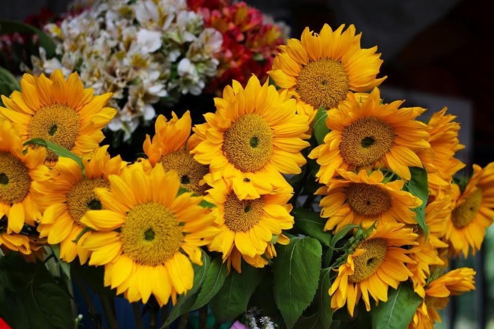 Choosing the Right Floral Varieties for Your Opening Flower Stand2
